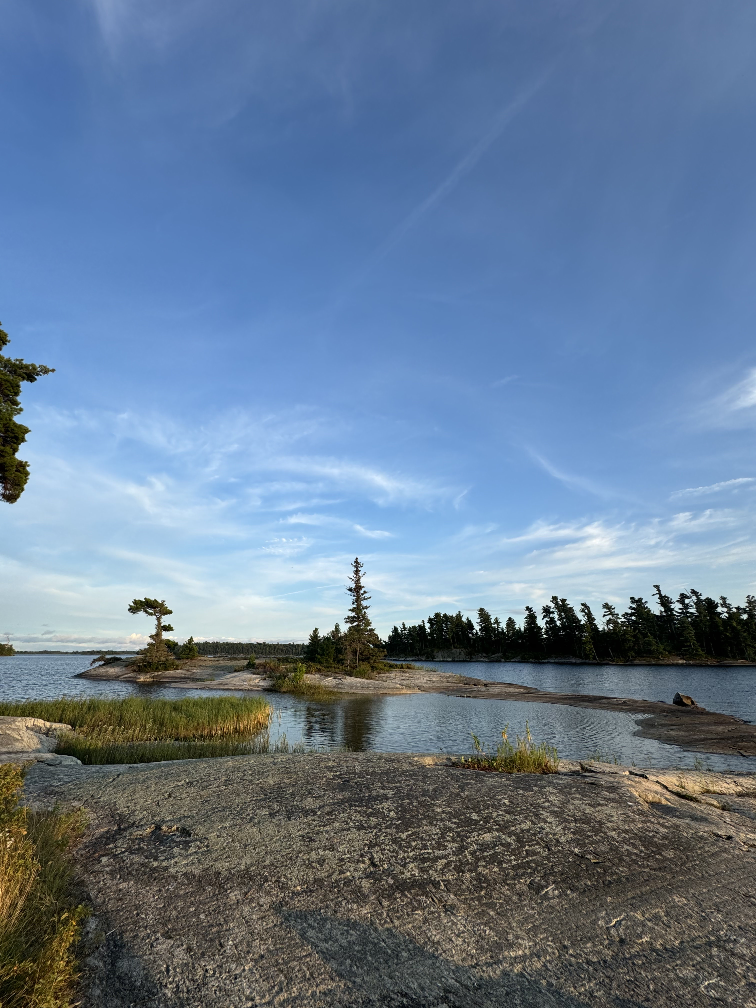 Granite island and pines on Lake of the Woods