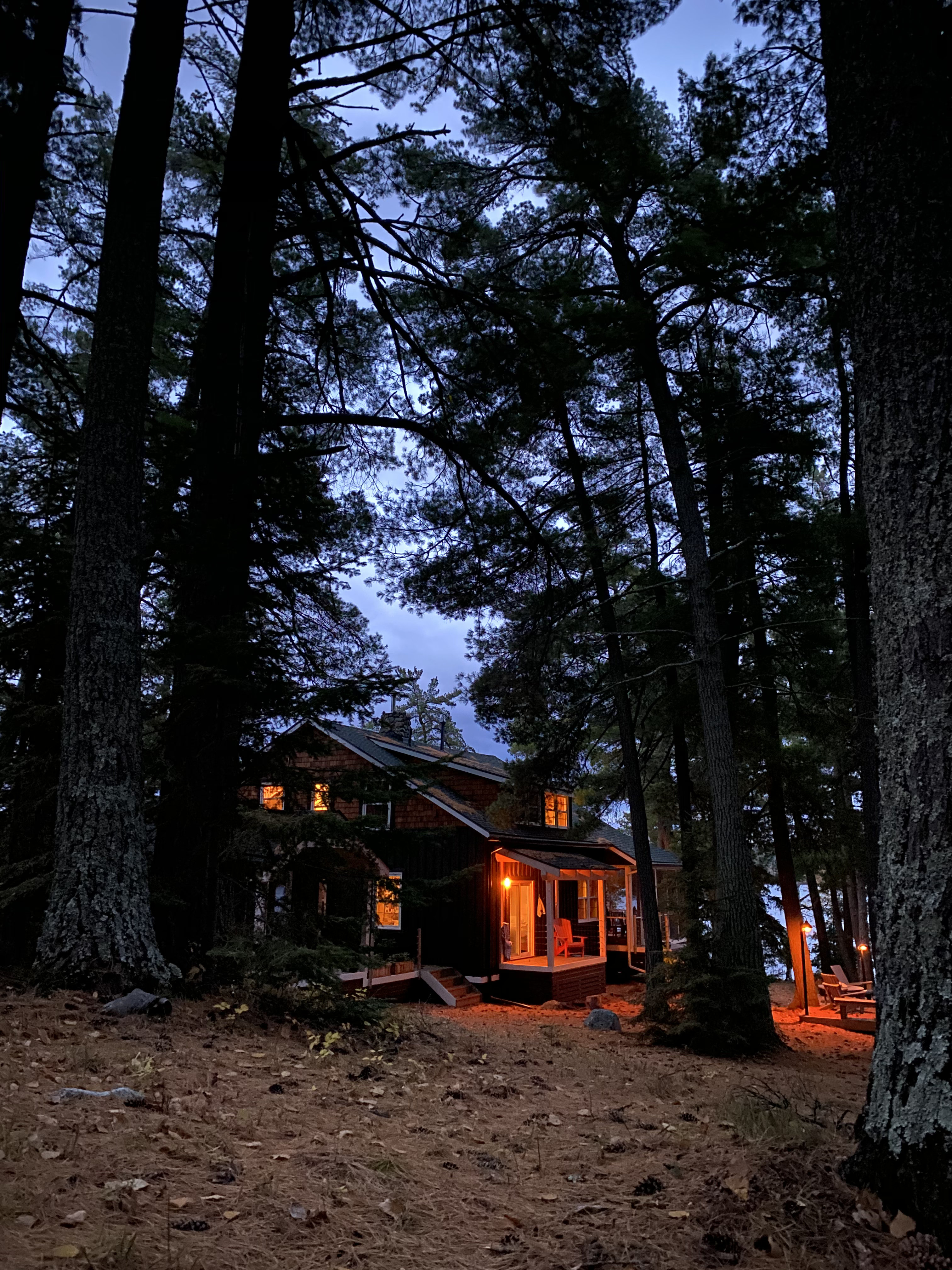 Camp at dusk through the pines